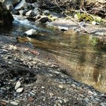 29597950_1851994761541845_323954221714215253_n