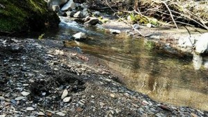 29597950_1851994761541845_323954221714215253_n