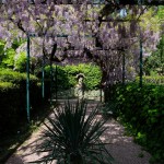 secret gardem kompress