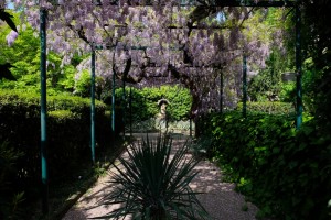 secret gardem kompress