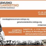 32089552_2016659851920405_2790299334334218240_n