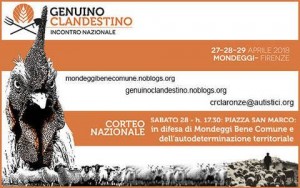 32089552_2016659851920405_2790299334334218240_n