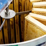 34629559_2031100653809658_8397617020320874496_n