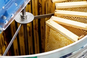 34629559_2031100653809658_8397617020320874496_n