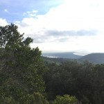 castiglione