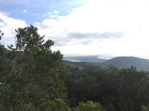 castiglione