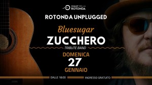 zucchero