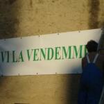 18 Vivi la vendemmia RIDOTTO