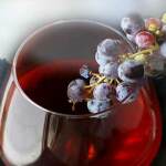 sagra-vino-itala