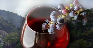 sagra-vino-itala